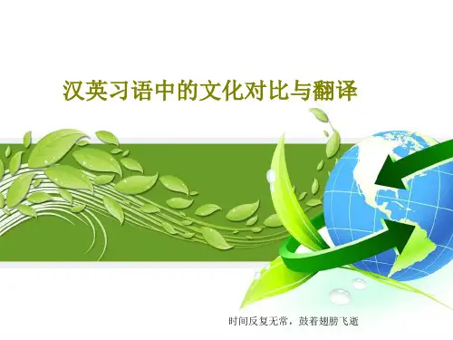 汉英习语中的文化对比与翻译共38页文档