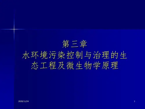 水环境污染控制与治理的PPT课件