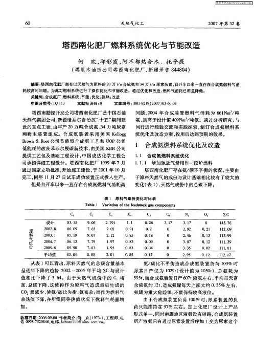 塔西南化肥厂燃料系统优化与节能改造