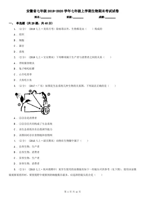 安徽省七年级2019-2020学年七年级上学期生物期末考试试卷