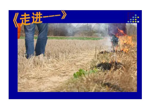 走进半命题作文发散思维31页PPT