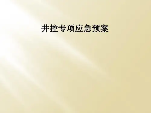 井控专项应急预案
