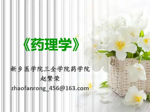 作用于呼吸系统的药物