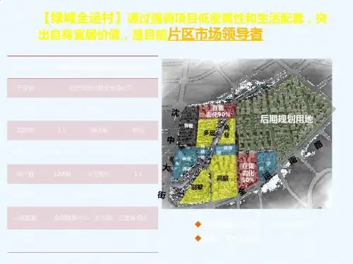富瑞项目营销执行报告
