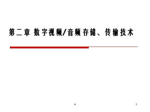 数字视频音频存储传输技术