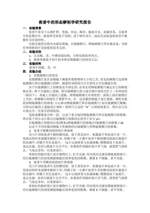 夜香牛的形态解剖学研究报告