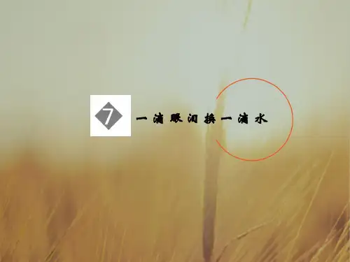 高中语文最新课件-一滴眼泪换一滴水 精品
