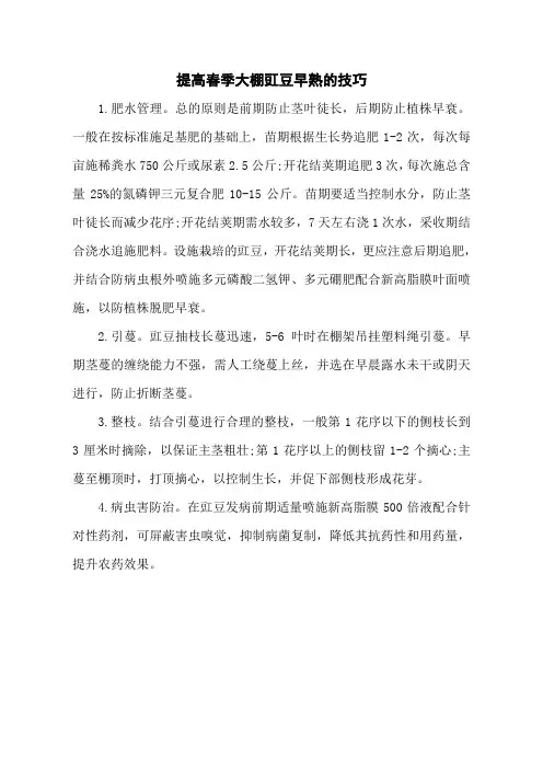 提高春季大棚豇豆早熟的技巧