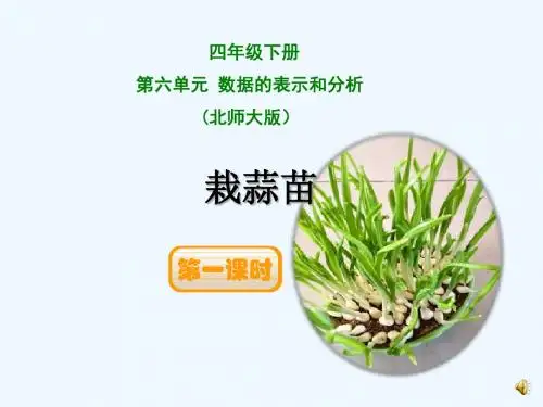 小学四年级下册北师大版《栽蒜苗》(一)课件