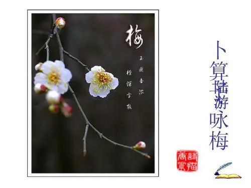 卜算子__咏梅_陆游-课件(PPT·精·选)
