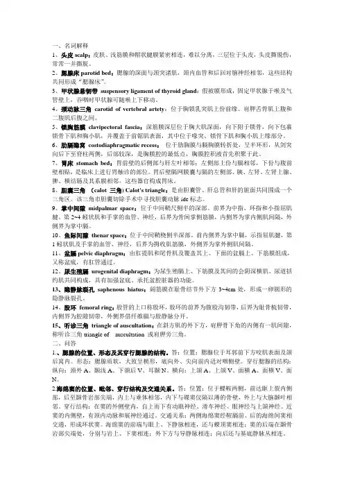 局部解剖学 2