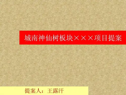 房地产项目提案