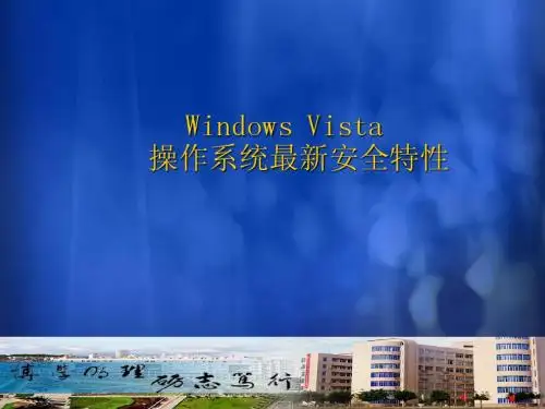 vista安全