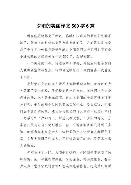 夕阳的美丽作文500字6篇
