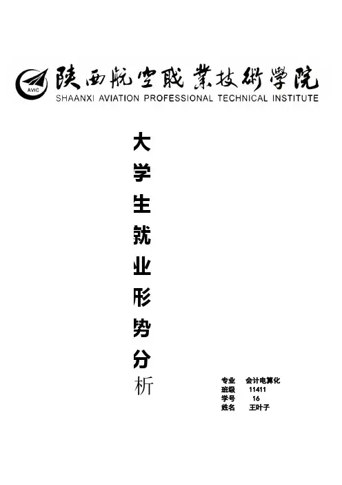 职业生涯规划 王
