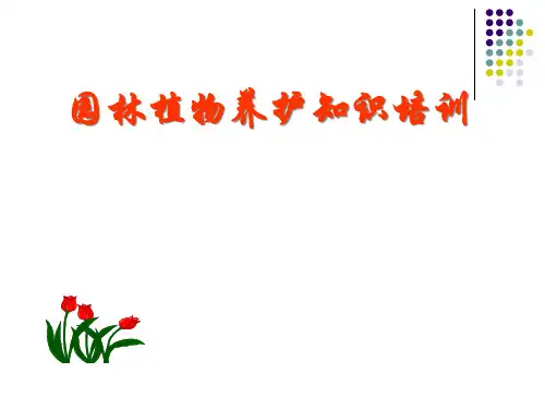 园林花卉知识培训.pptx