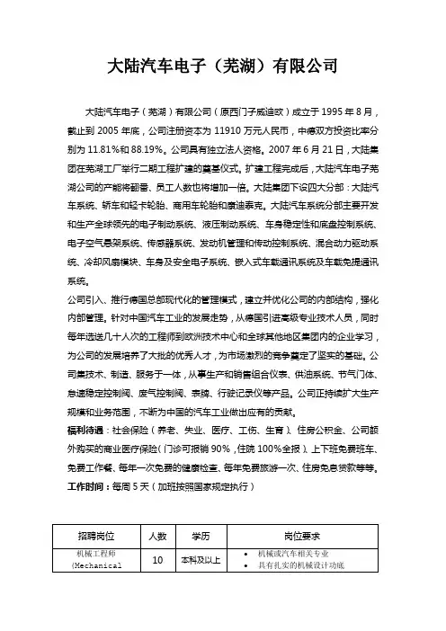 大陆汽车电子(芜湖)有限公司