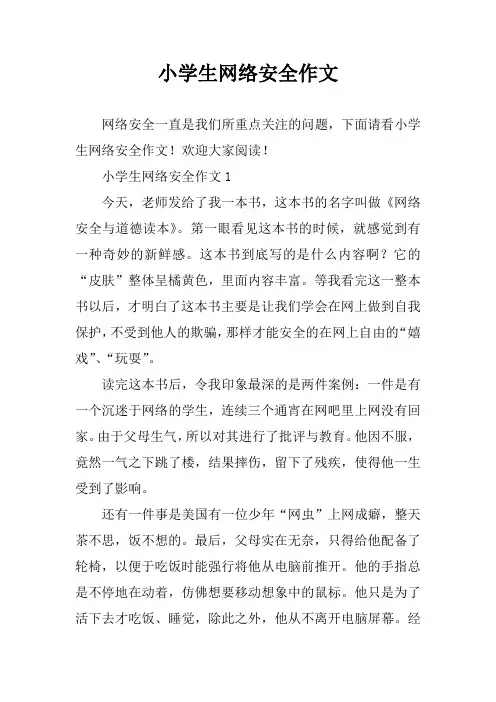 小学生网络安全作文