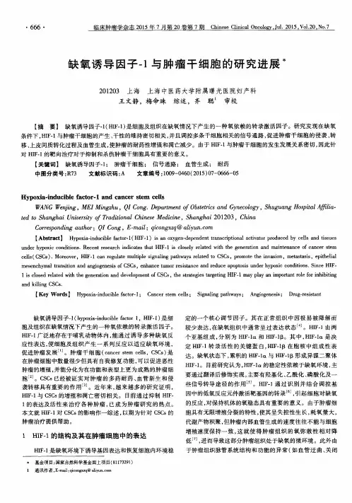 缺氧诱导因子-1与肿瘤干细胞的研究进展