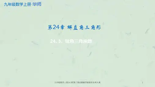 九年级数学上册24.3锐角三角函数教学新版华东师大版课件
