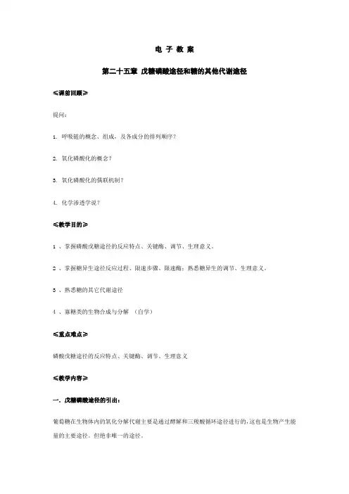 戊糖磷酸途径和糖的其他代谢途径