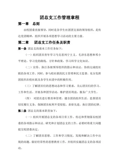 团总支工作管理章程