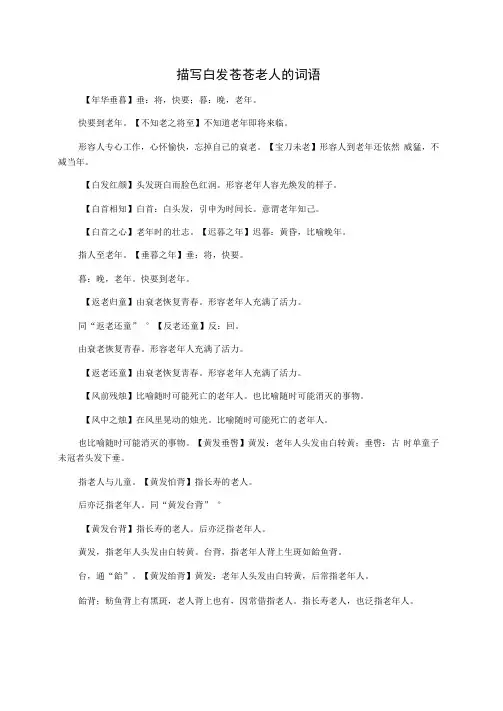 描写白发苍苍老人的词语