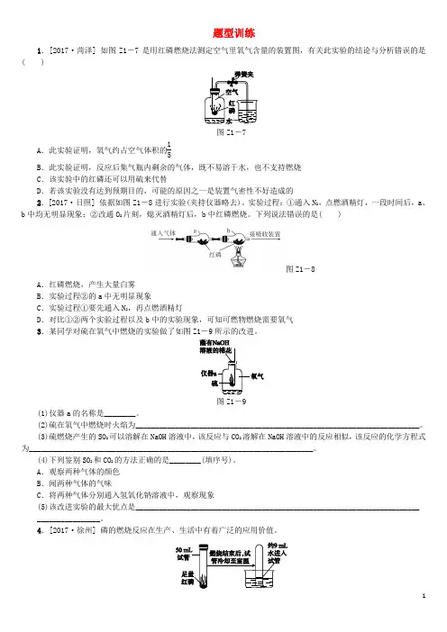 (连云港专版)中考化学复习方案题型训练1