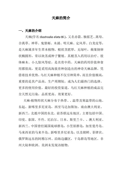 天麻的简介