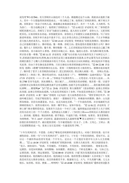关于苏轼