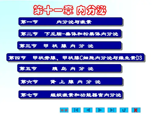 生理学课件:第十一章 内分泌