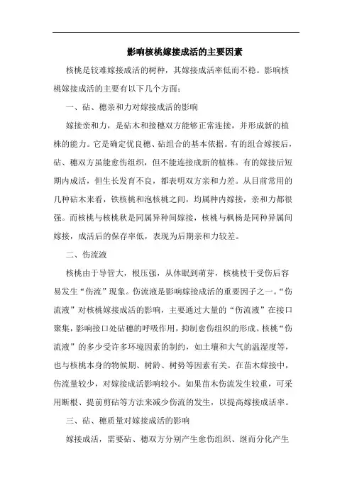 影响核桃嫁接成活的主要因素