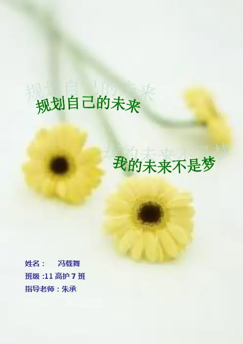 职业生涯规划书