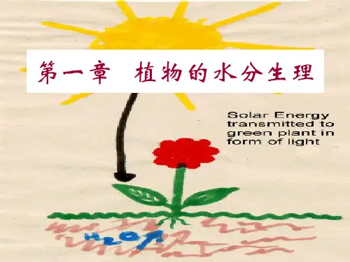 第一章植物的水分生理