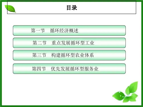 环境第六章PPT幻灯片