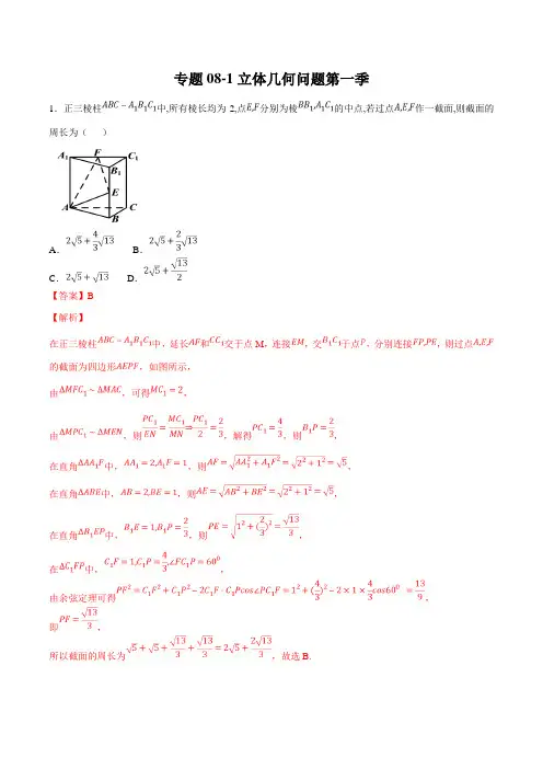 专题08-1立体几何问题第一季-2019年领军高考数学(理)压轴题必刷题(解析版)