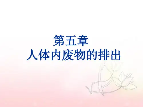 人教版初中生物七年级下册第四单元第五章  人体内废物的排出  课件
