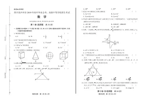 2019年四川省泸州中考数学试卷