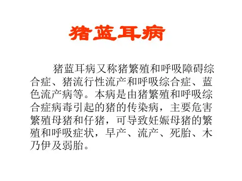 猪蓝耳病【猪病的防与治】