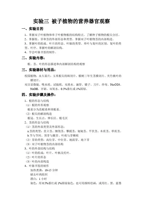 实验指导3   被子植物的营养器官观察