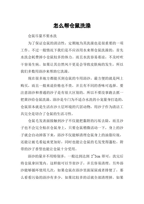 怎么帮仓鼠洗澡
