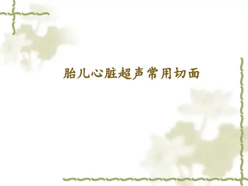 胎儿心脏超声常用切面  ppt课件