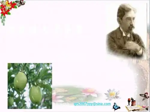 安东诺夫卡苹果ppt4 人教课标版