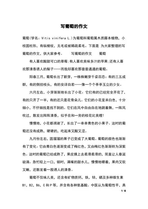 写葡萄的作文