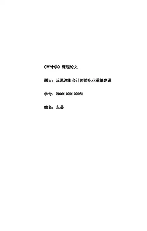 审计学论文