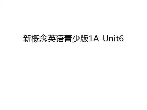 新概念英语青少版1A-Unit6教学内容