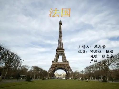 国际市场营销 (2)