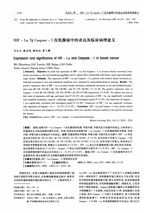 HIF-1α与Caspase-3在乳腺癌中的表达及临床病理意义
