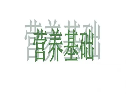 营养基础