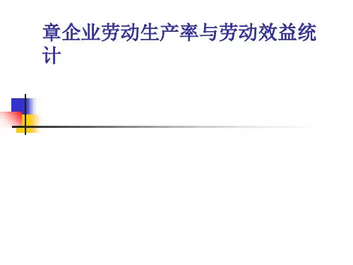 企业劳动生产率与劳动效益统计概述(PPT 61页).ppt